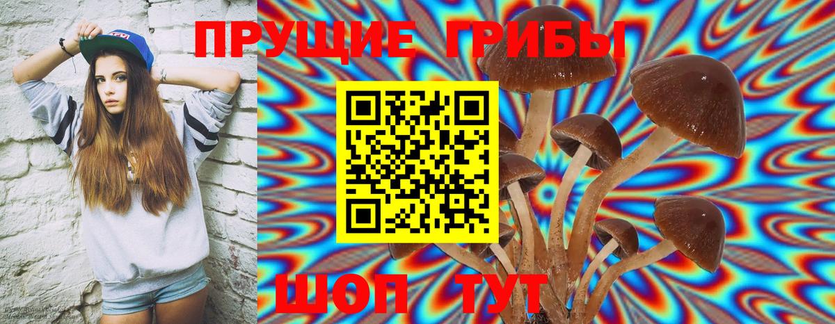 Галлюциногенные грибы мицелий  Вход с VPN  Пятигорск  наркотики  Галлюциногенные грибы MAGIC MUSHROOMS 