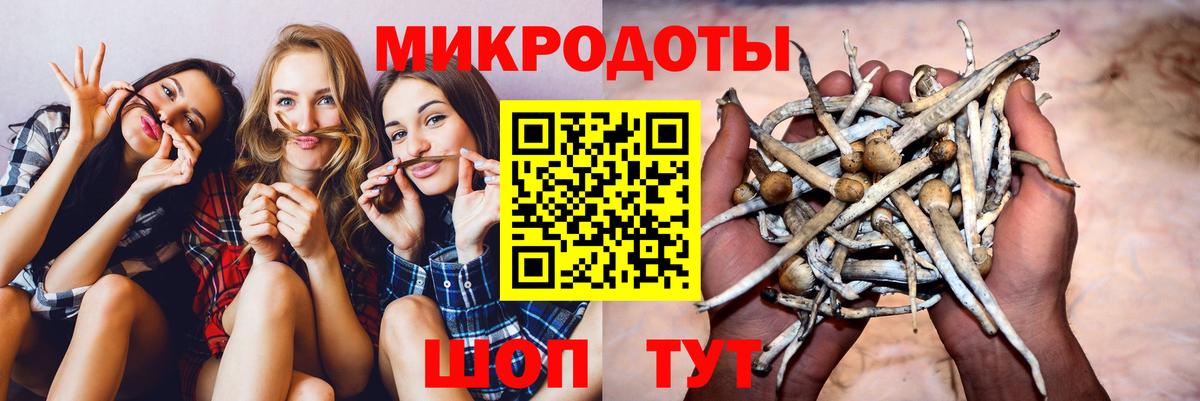 Галлюциногенные грибы Psilocybine cubensis Пятигорск